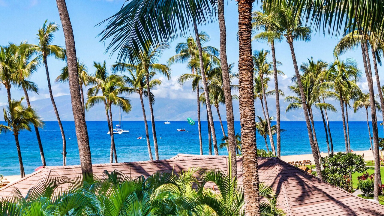 Photo of Others in Kaanapali