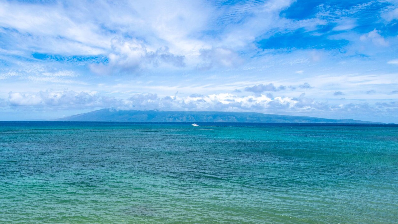 Photo of Others in Napili-Honokowai