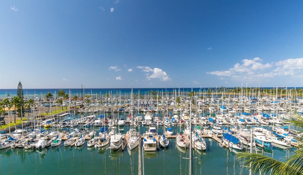 Photo of Others in Waikiki