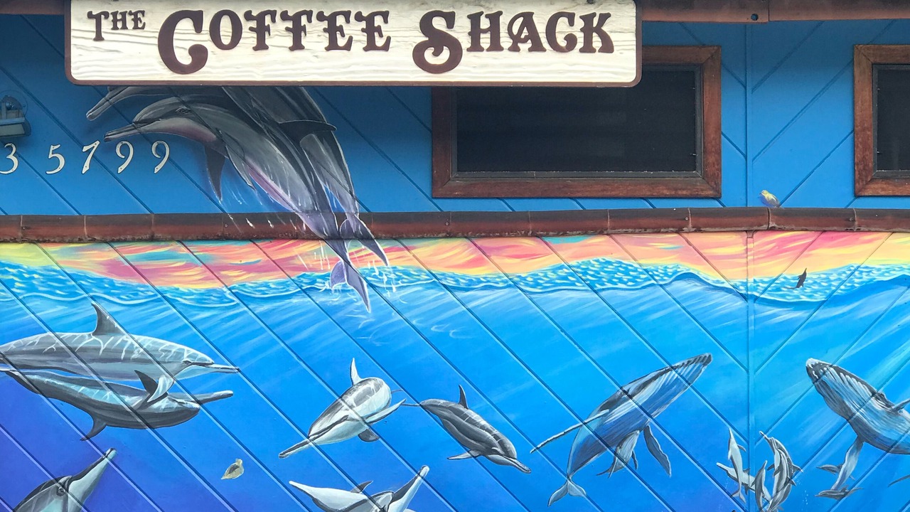 Photo of Others in Kona Paradise