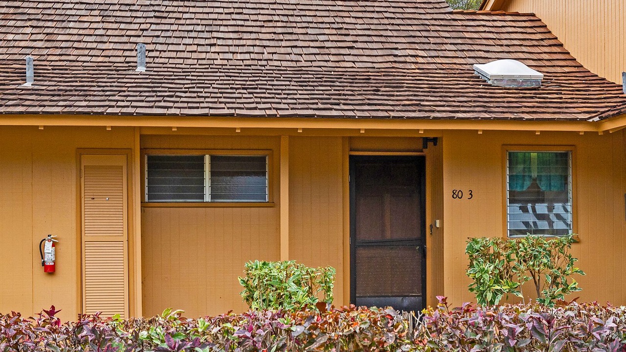 Photo of Others in Historic Lahaina Front Street