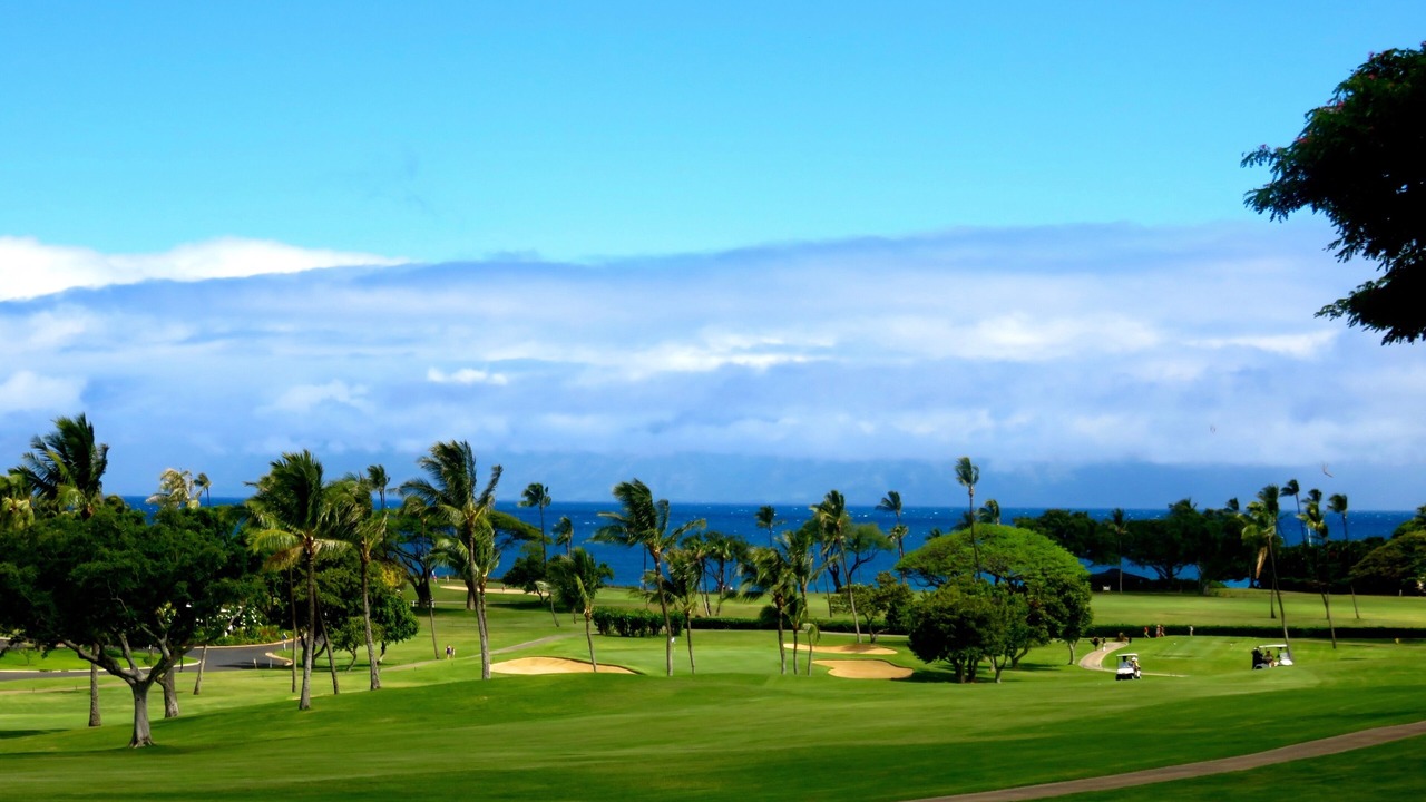 Photo of Others in Historic Lahaina Front Street