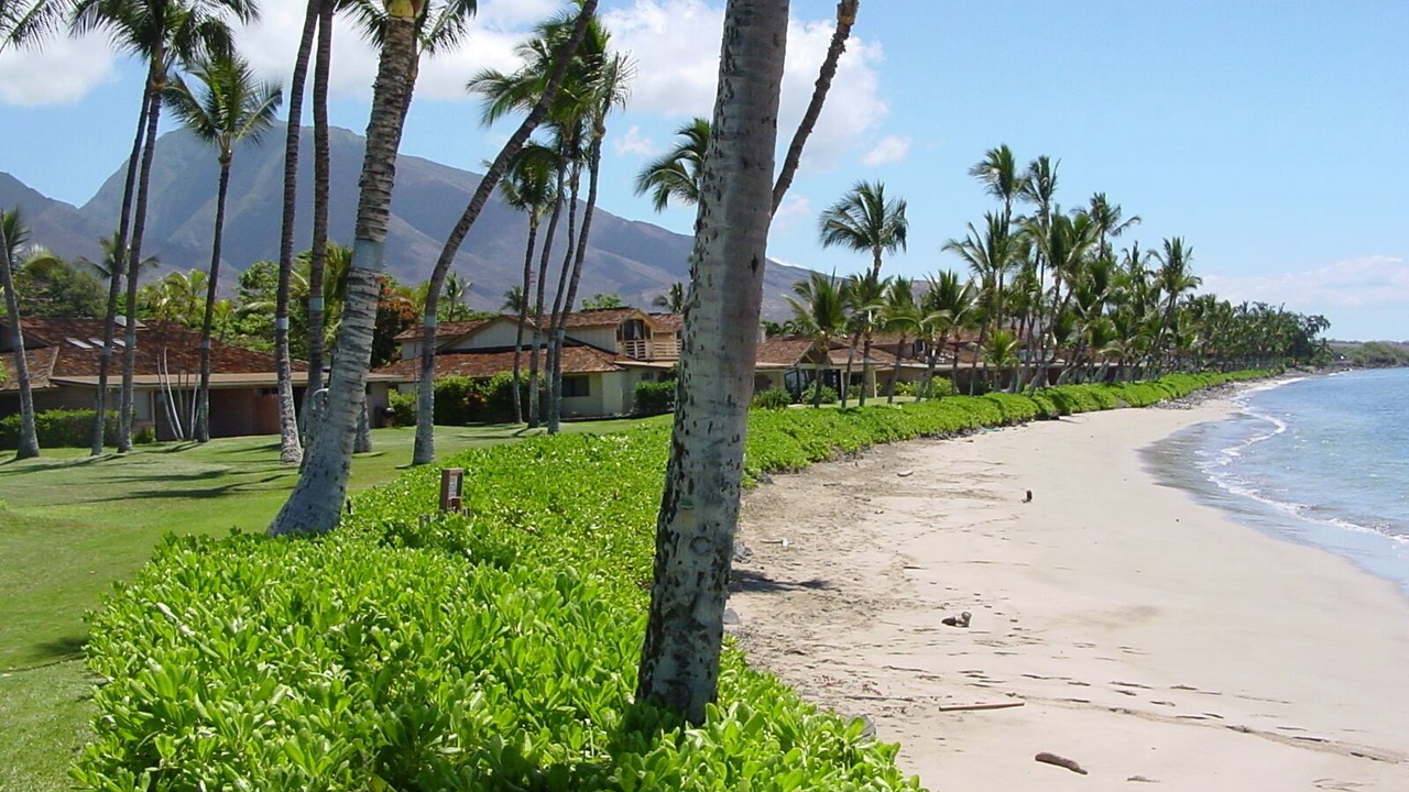 Photo of Others in Historic Lahaina Front Street