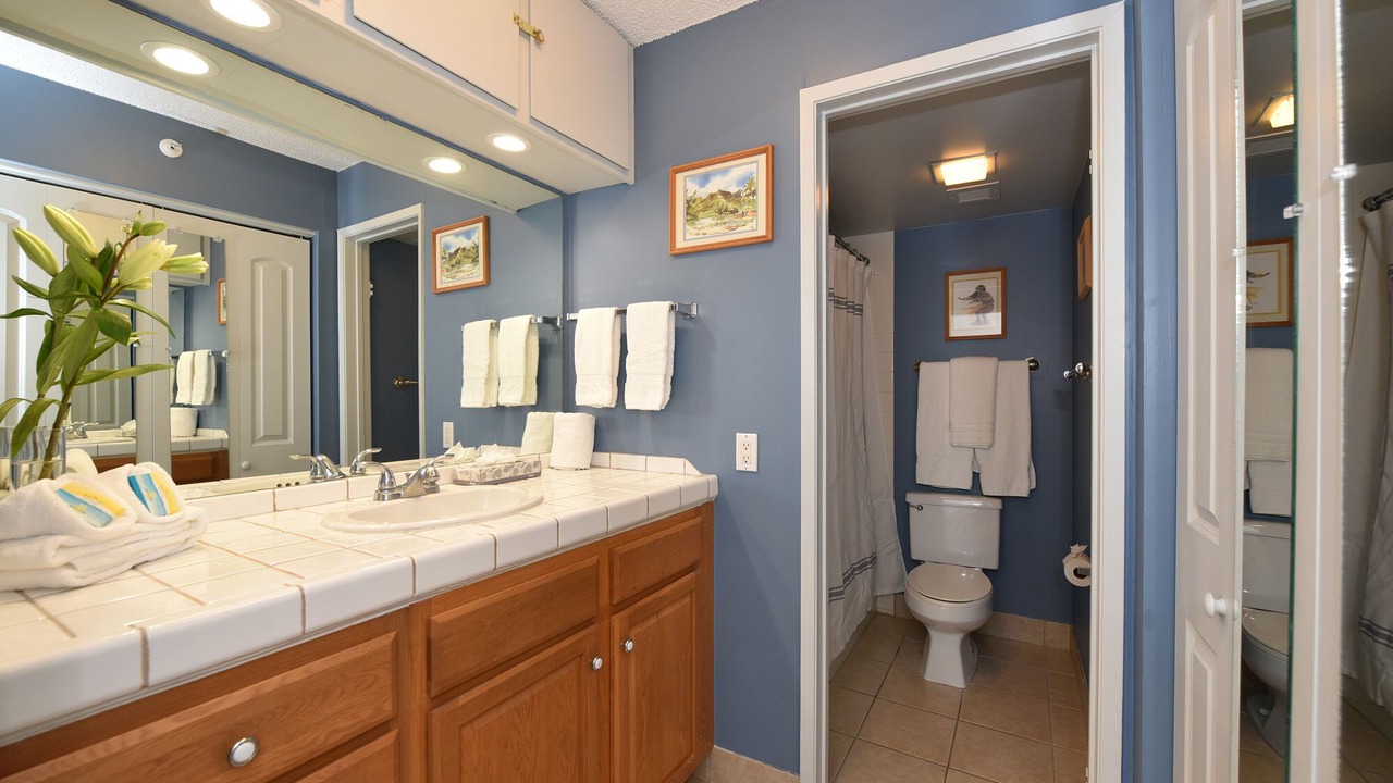 Photo of Bathroom in Kahana