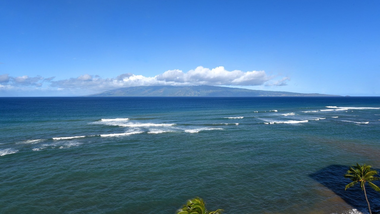 Photo of Others in Kahana