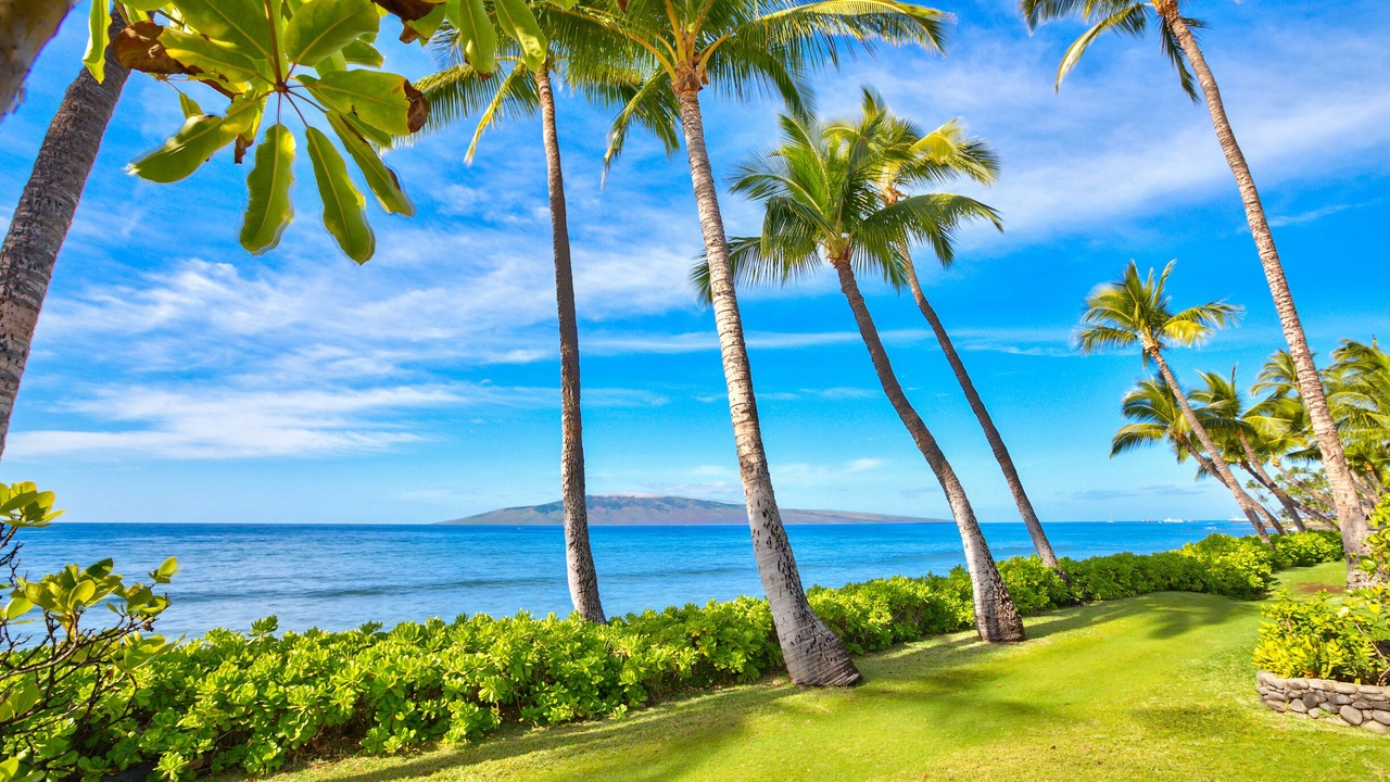 Photo of Outdoor in Downtown Lahaina