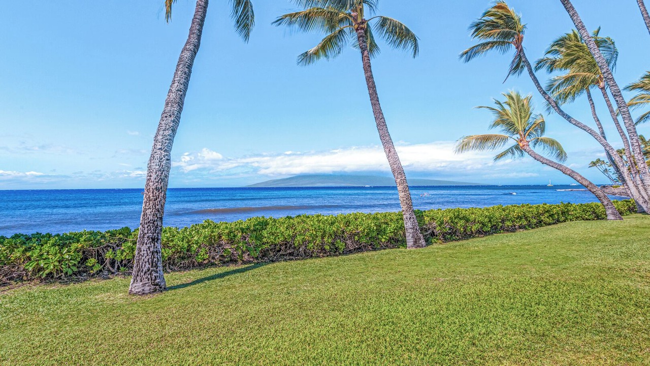 Photo of Others in Downtown Lahaina