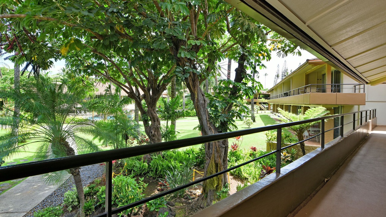 Photo of Outdoor in Kaanapali