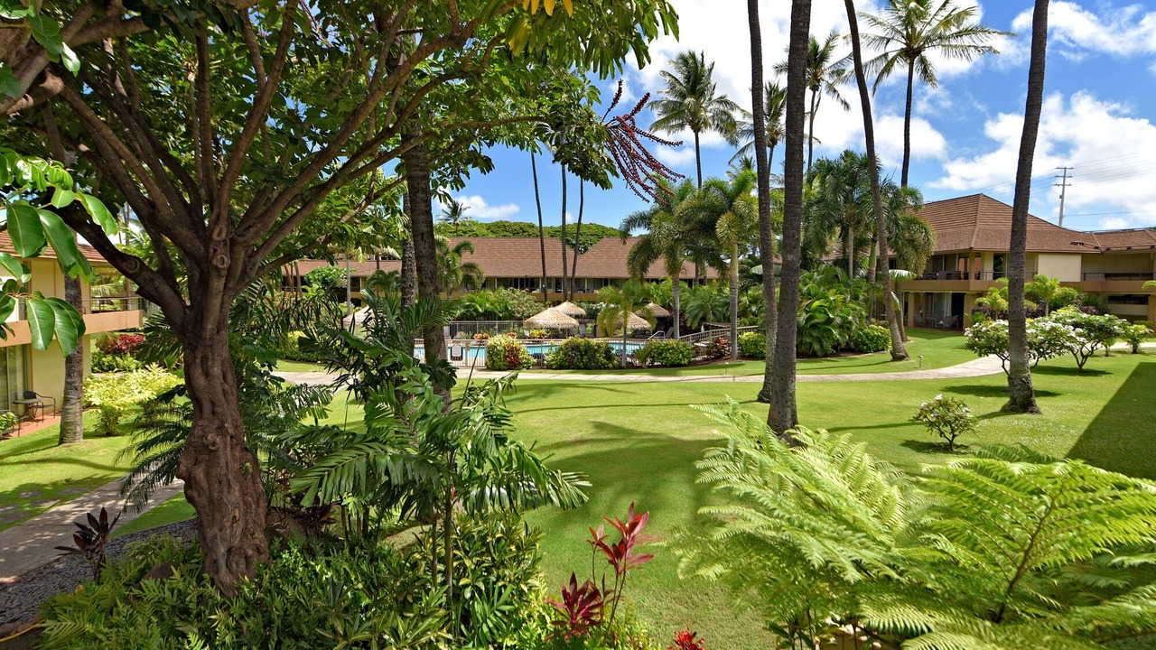Photo of Others in Kaanapali