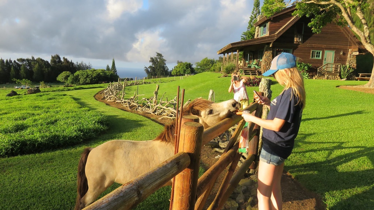 Photo of Others in Hawi
