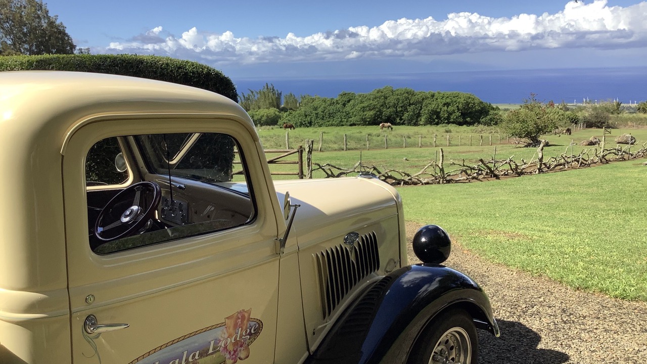 Photo of Others in Hawi