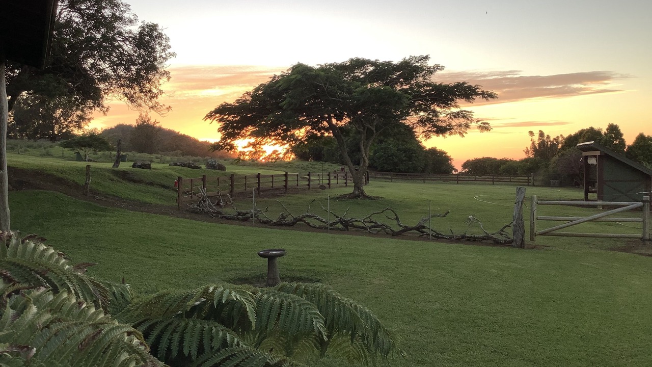 Photo of Others in Hawi