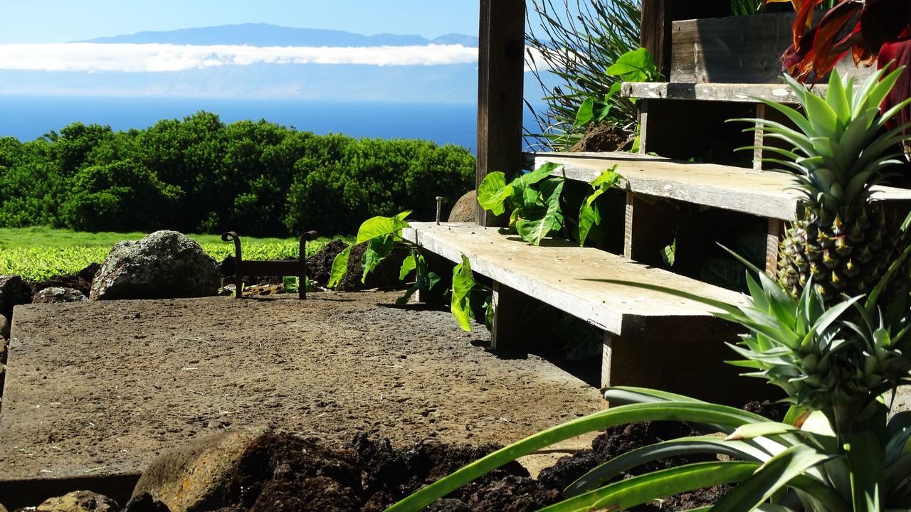 Photo of Others in Hawi