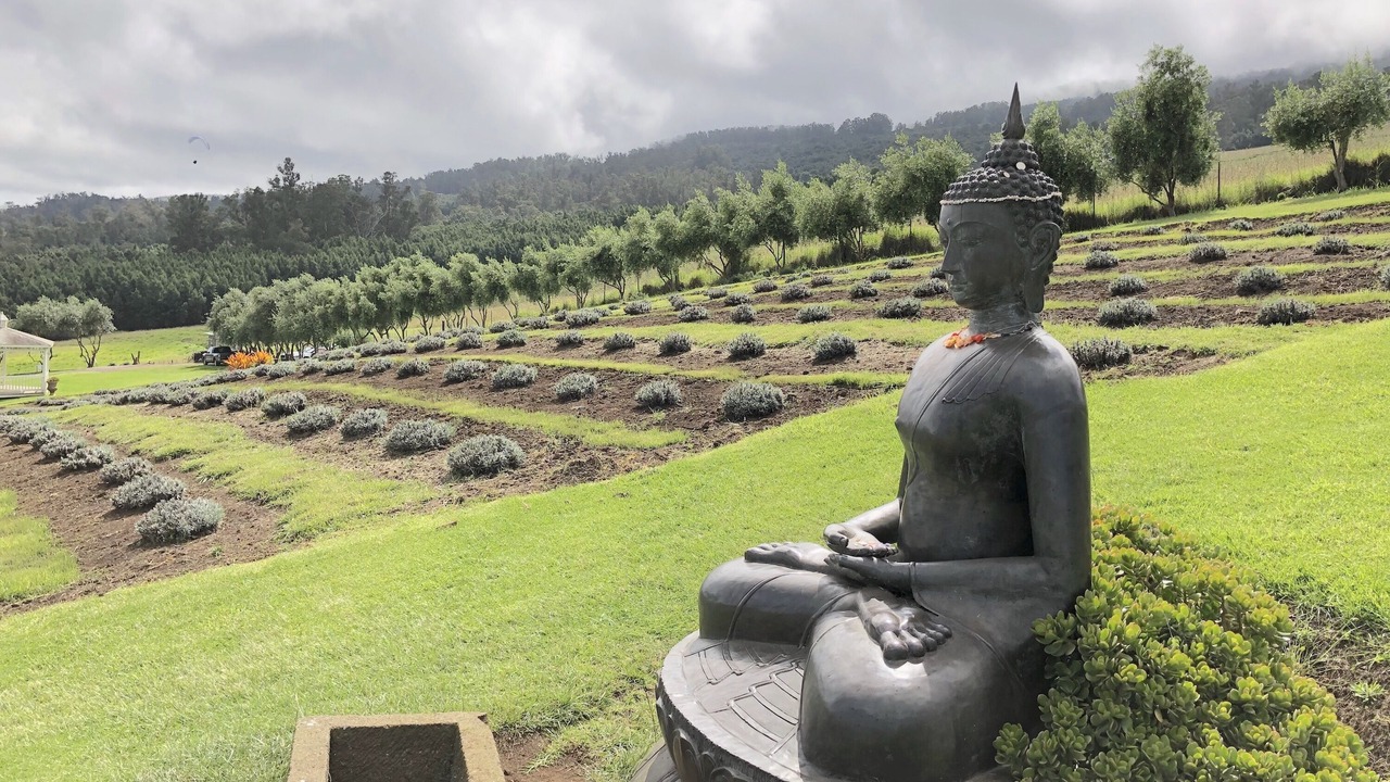 Photo of Others in Kahana