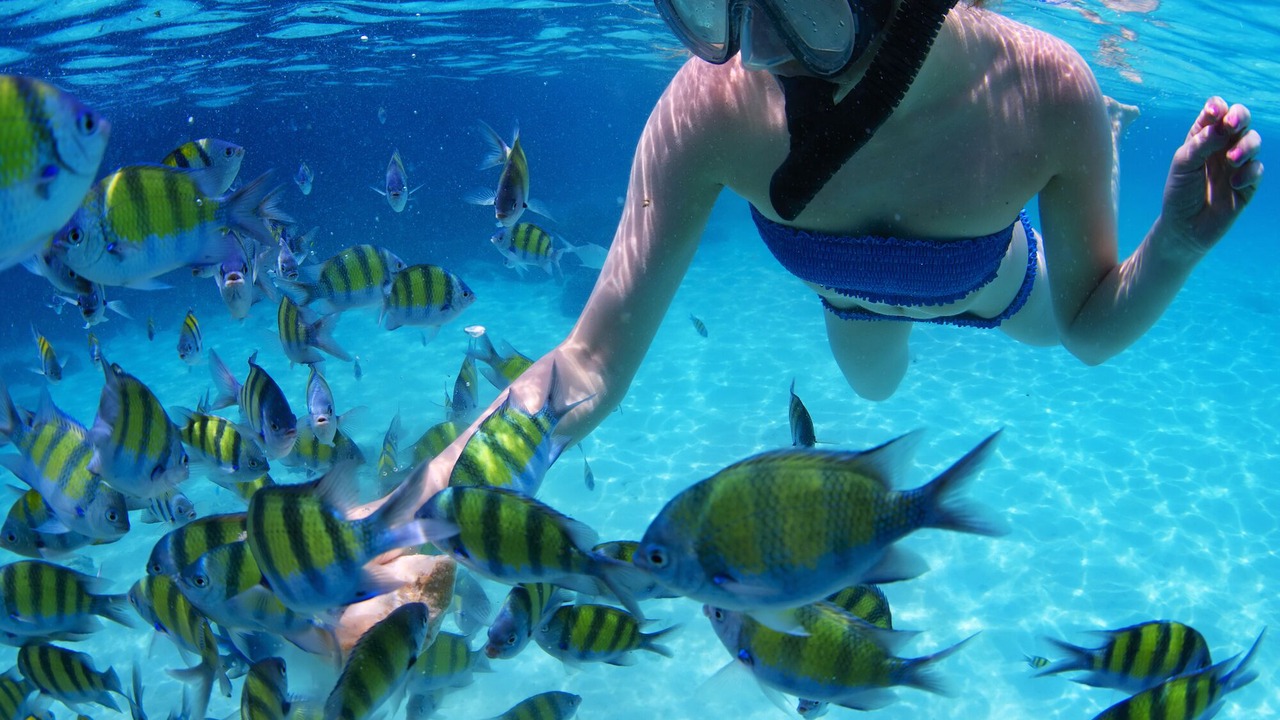 Photo of Others in Kahana