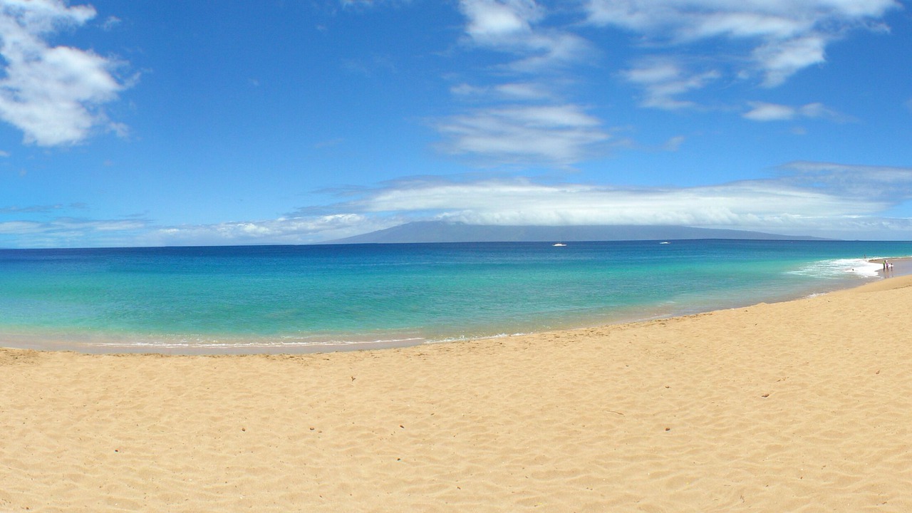 Photo of Others in Kaanapali