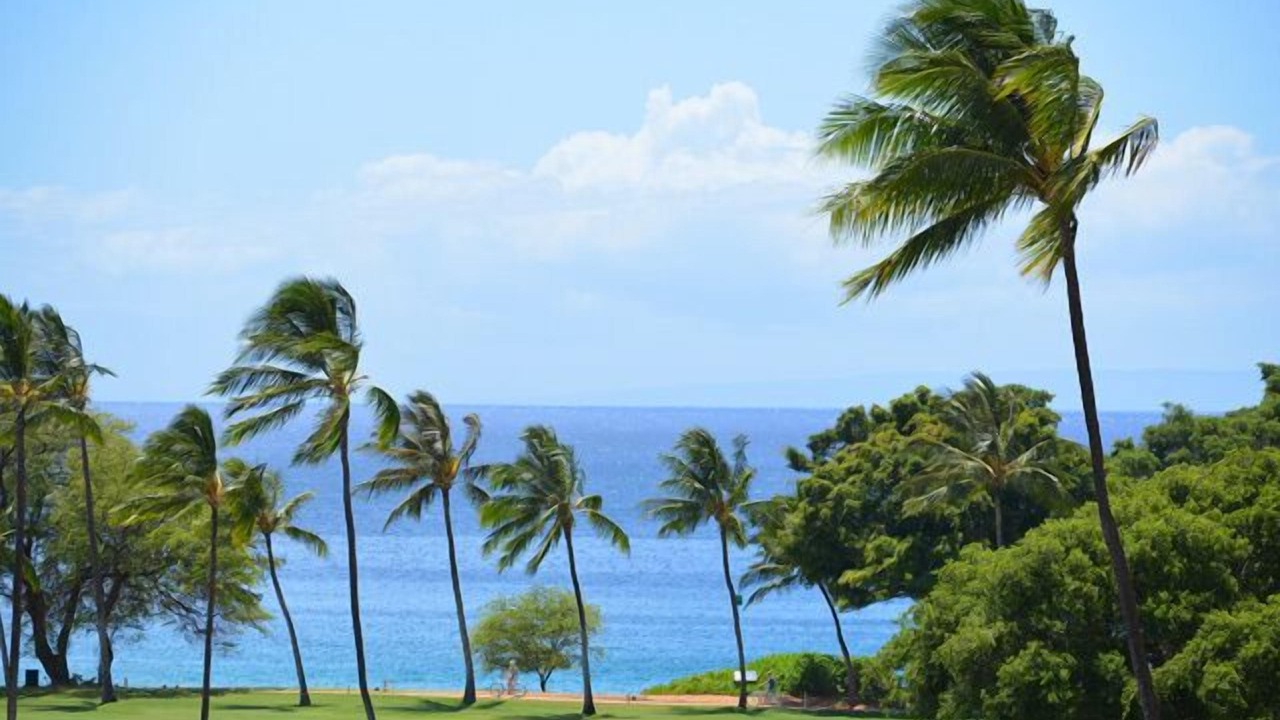 Photo of Others in Kaanapali