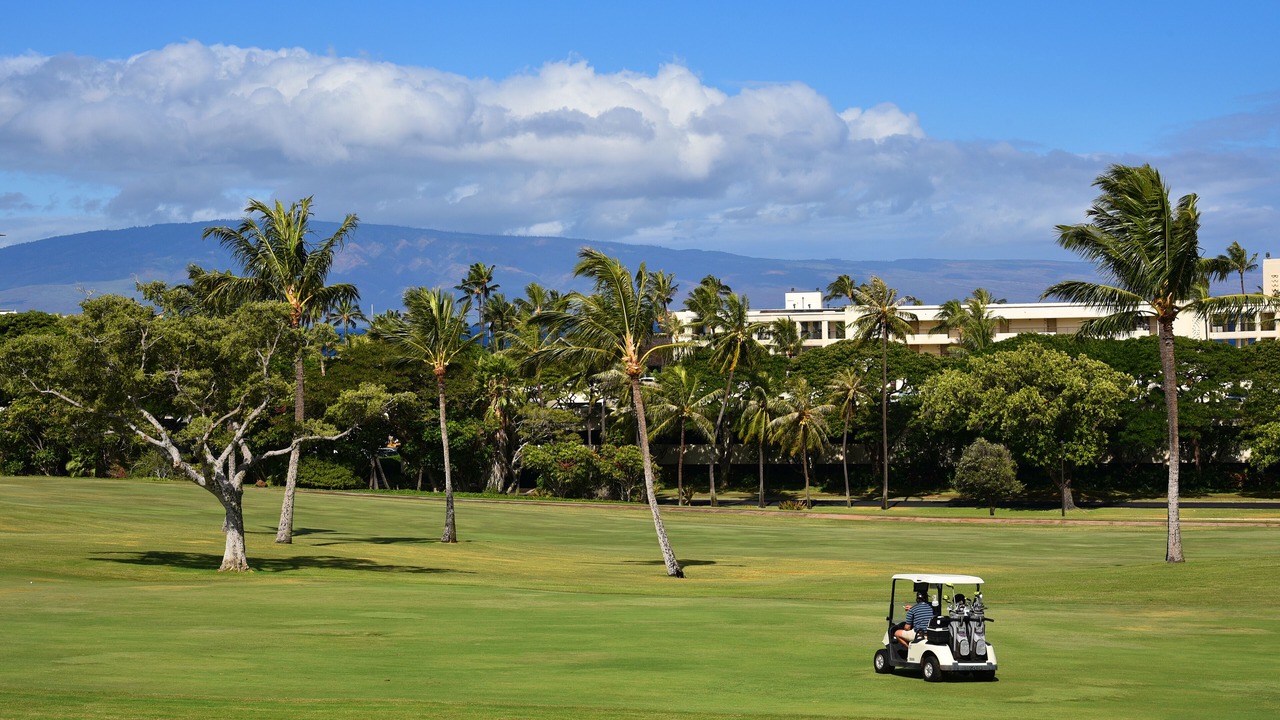 Photo of Others in Kaanapali