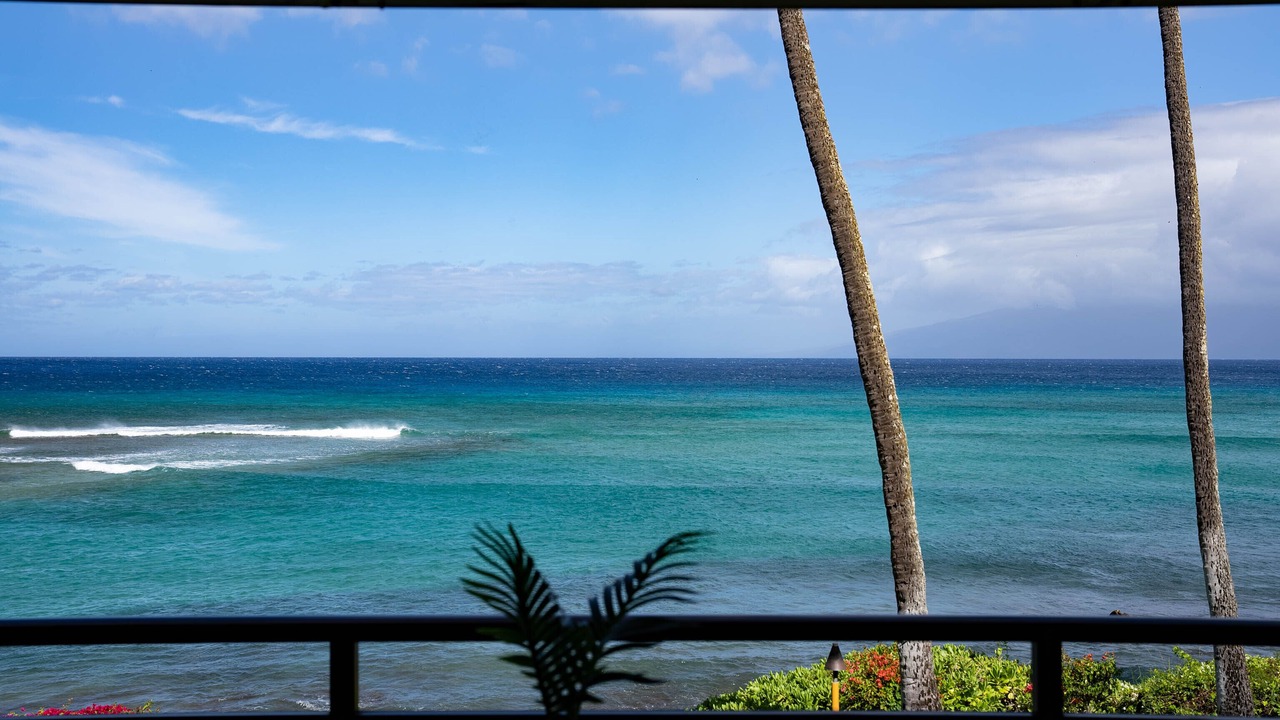 Photo of Others in Honokowai