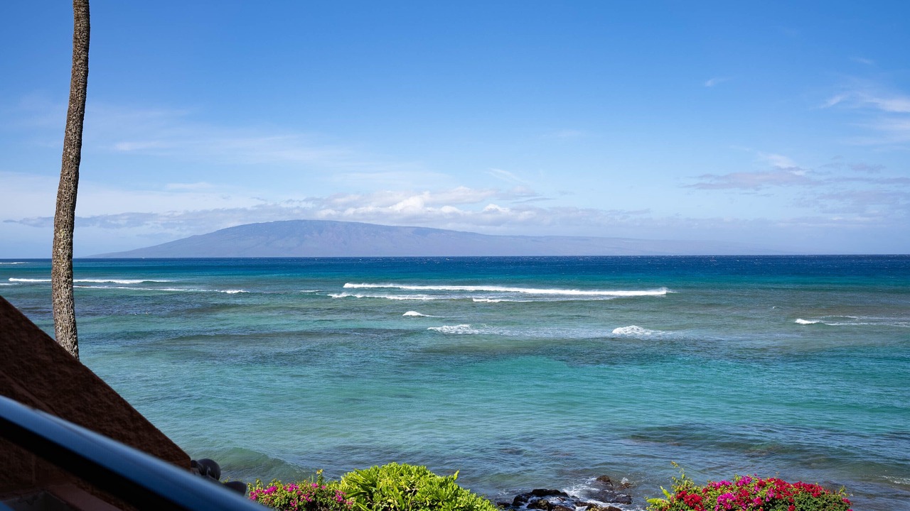 Photo of Others in Honokowai