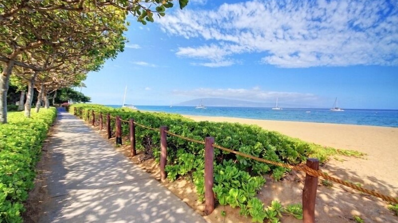 Photo of Others in Kaanapali