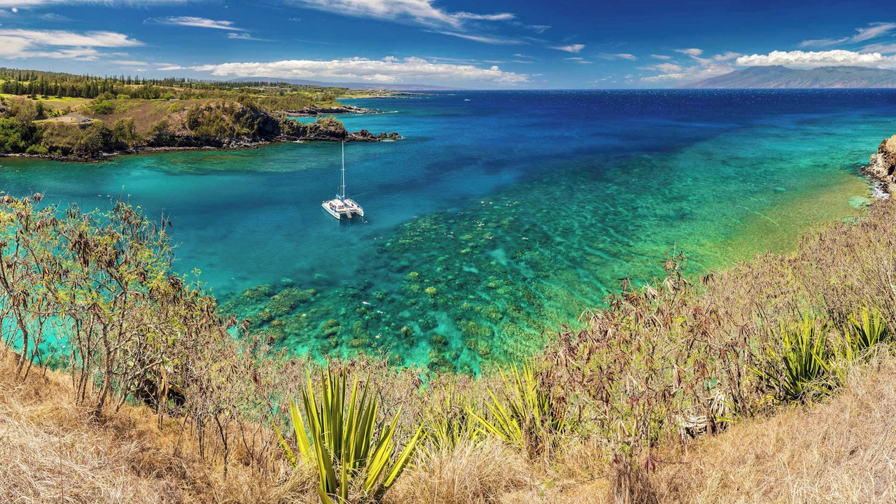Photo of Outdoor in Napili