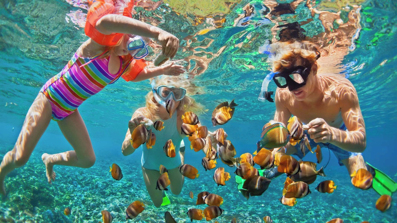 Photo of Others in Napili