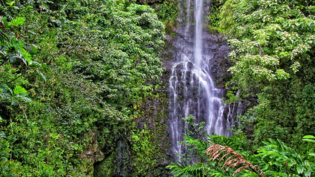 Photo of Outdoor in Hana