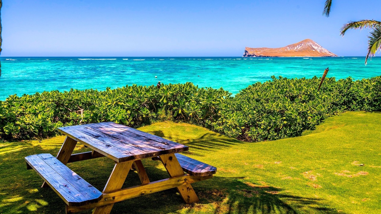 Photo of Others in Waimanalo Beach