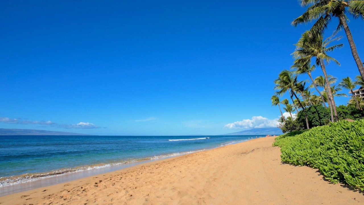 Photo of Others in Kaanapali