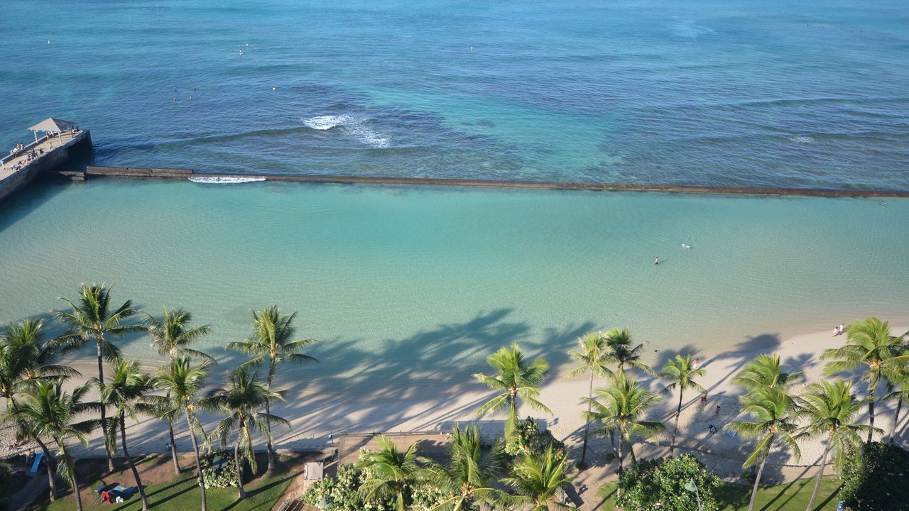 Photo of Others in Honolulu