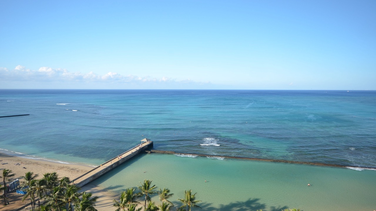 Photo of Others in Honolulu