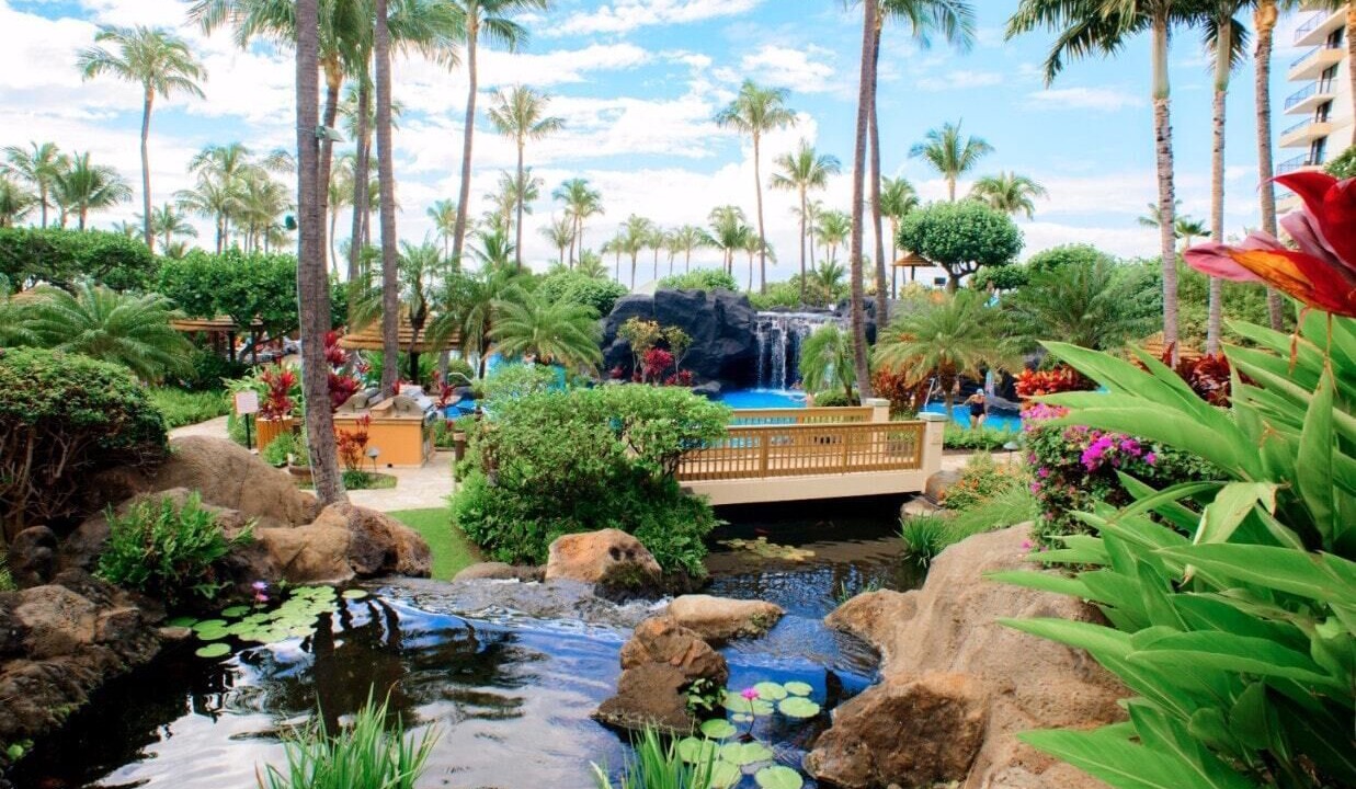 Photo of Others in Kaanapali