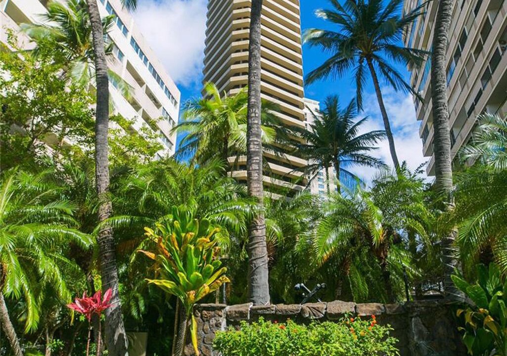 Photo of Outdoor in Waikiki
