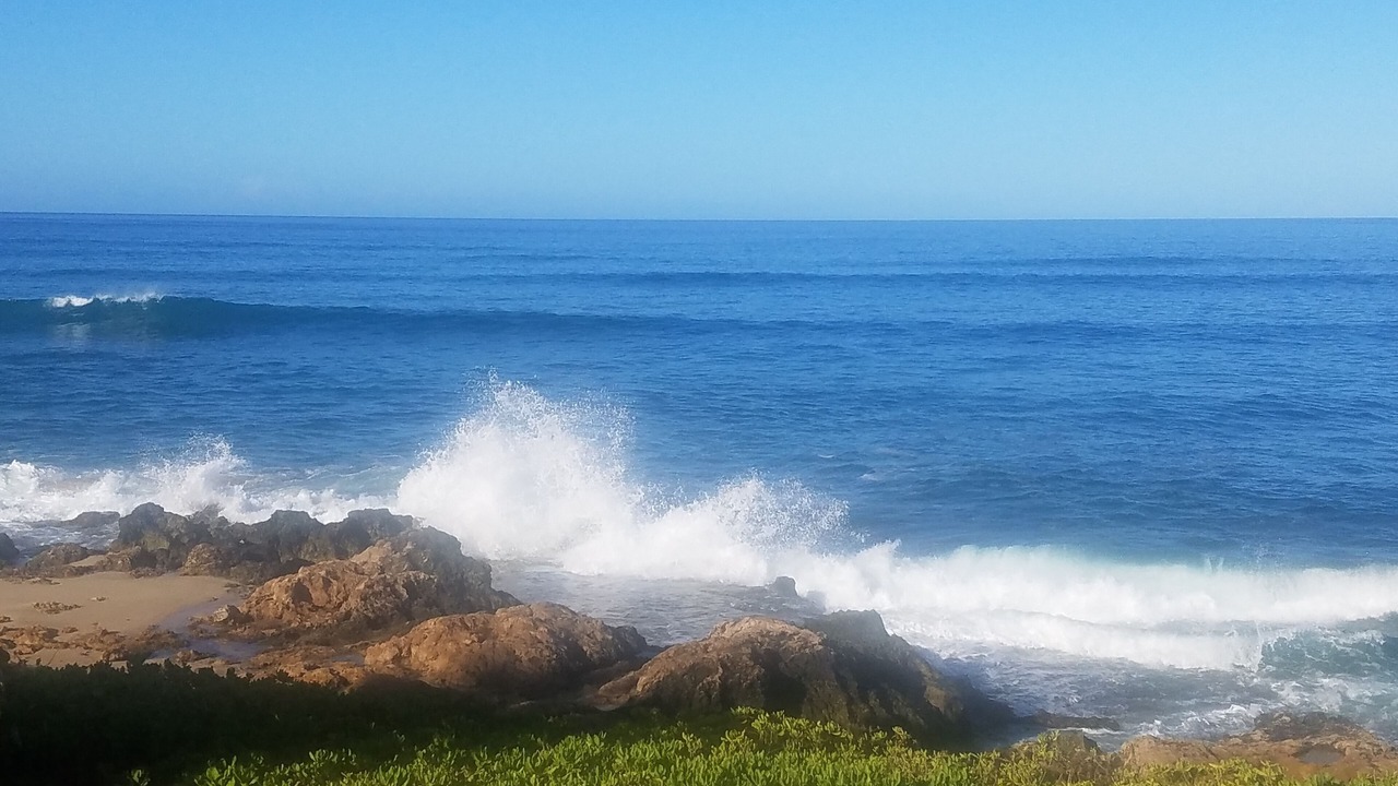 Photo of Others in Makaha