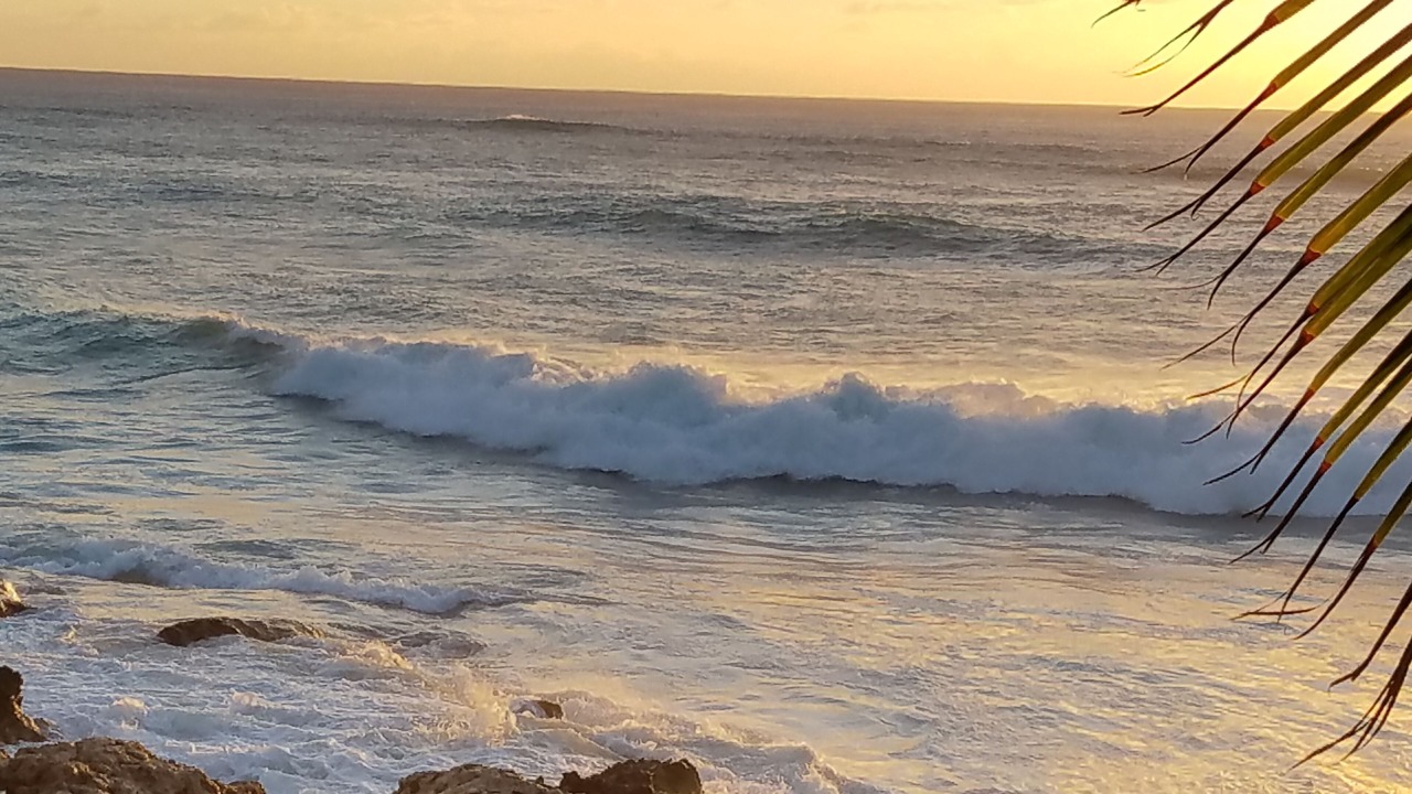 Photo of Others in Makaha