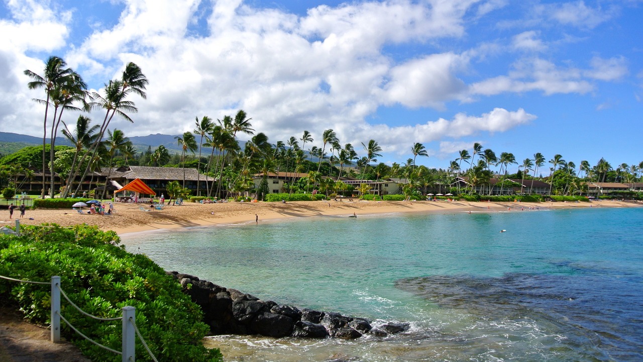 Photo of Others in Napili
