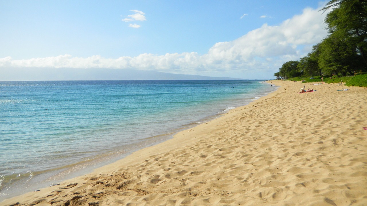 Photo of Others in Kaanapali