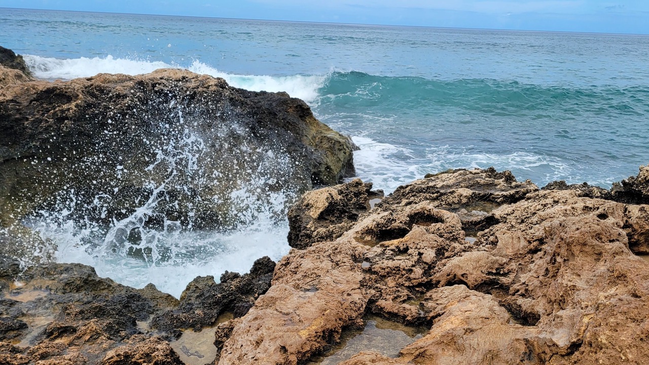 Photo of Others in Makaha