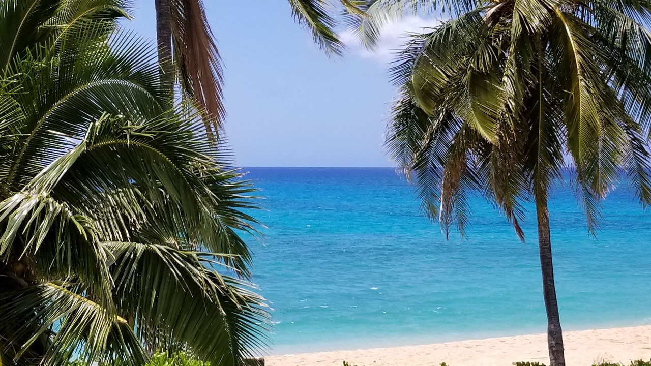 Photo of Others in Makaha