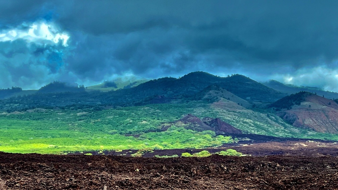 Photo of Others in Kihei