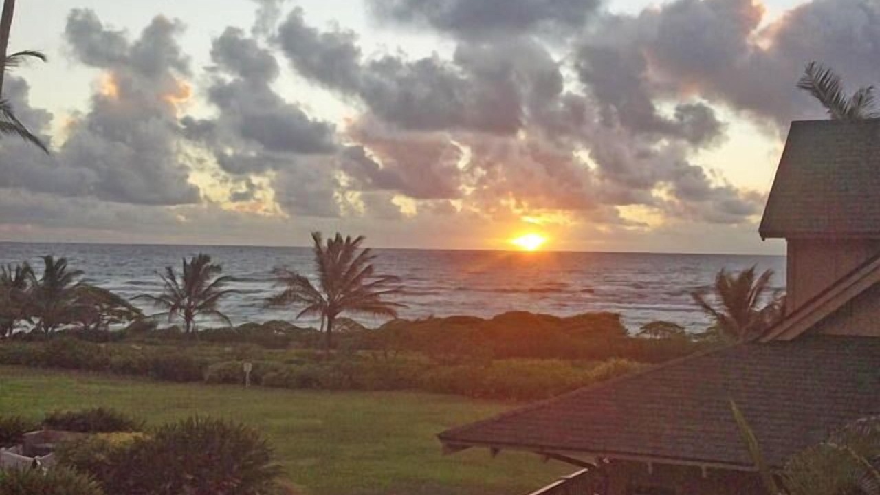 Photo of Others in Lihue
