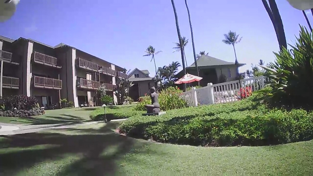 Photo of Outdoor in Lihue