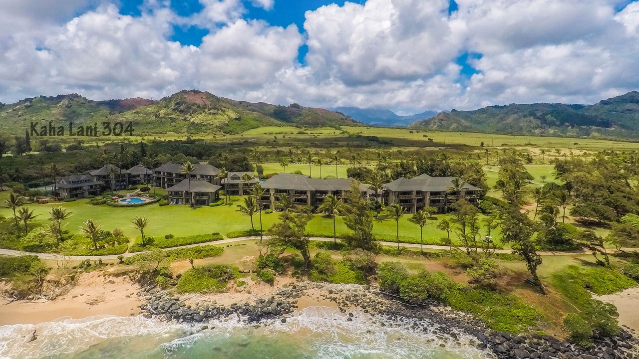 Photo of Others in Lihue