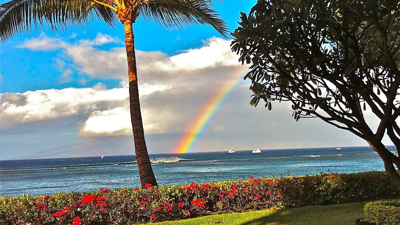 Photo of Others in Historic Lahaina Front Street