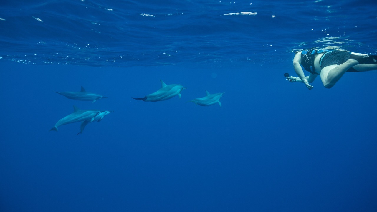 Photo of Others in Waimanalo