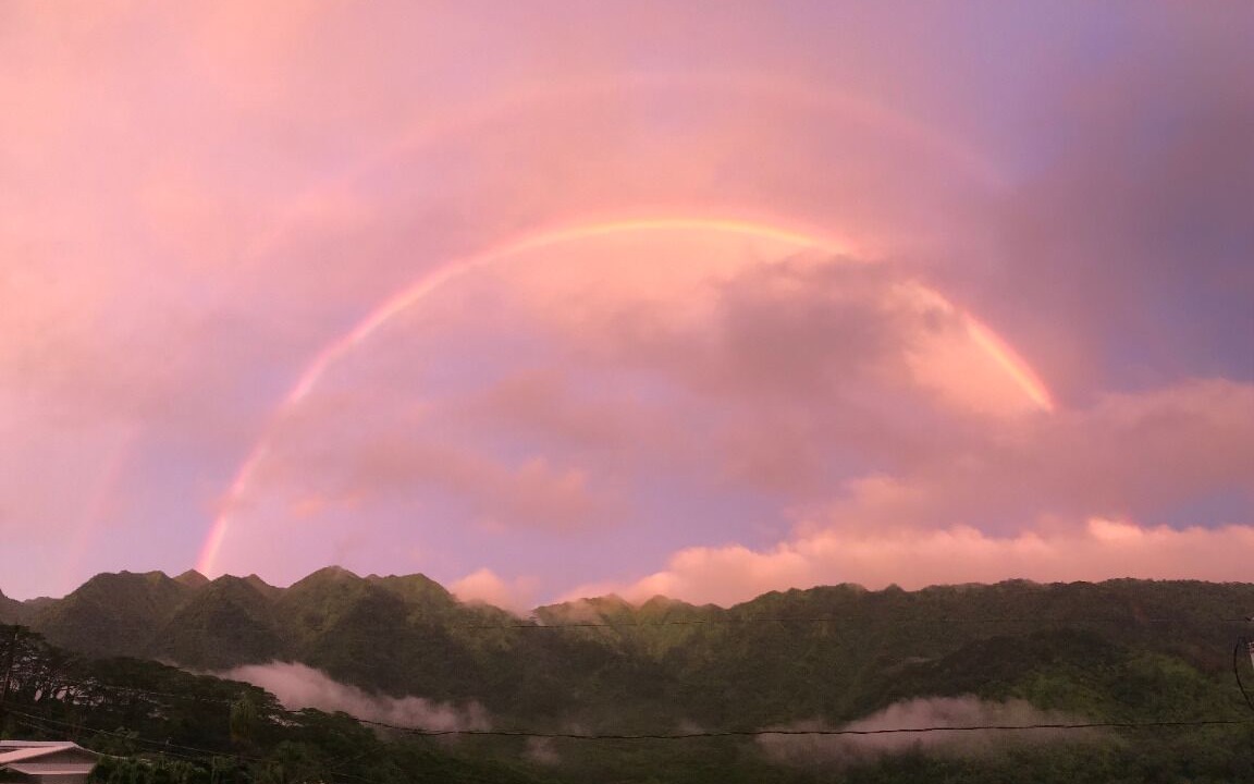 Photo of Others in Manoa