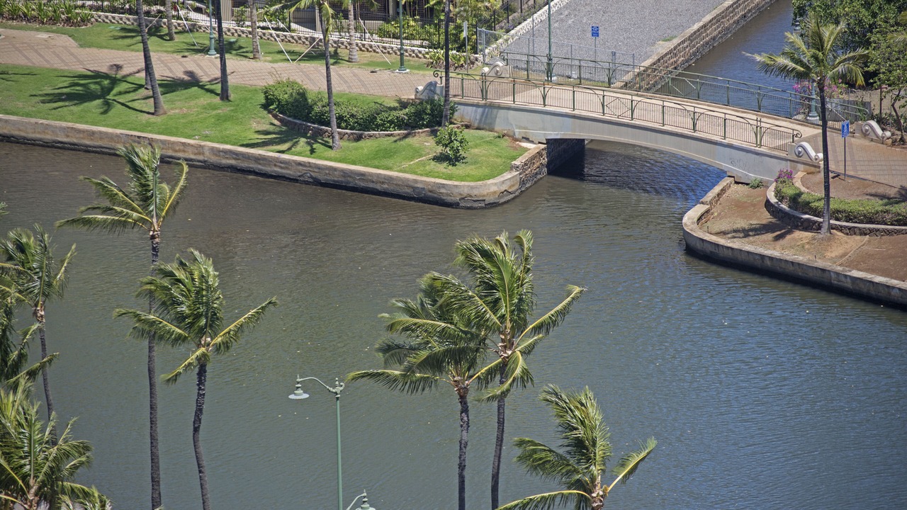 Photo of Outdoor in McCully - Moiliili