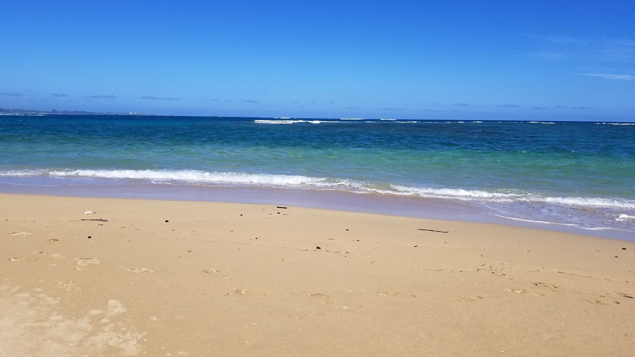 Photo of Others in Hauula