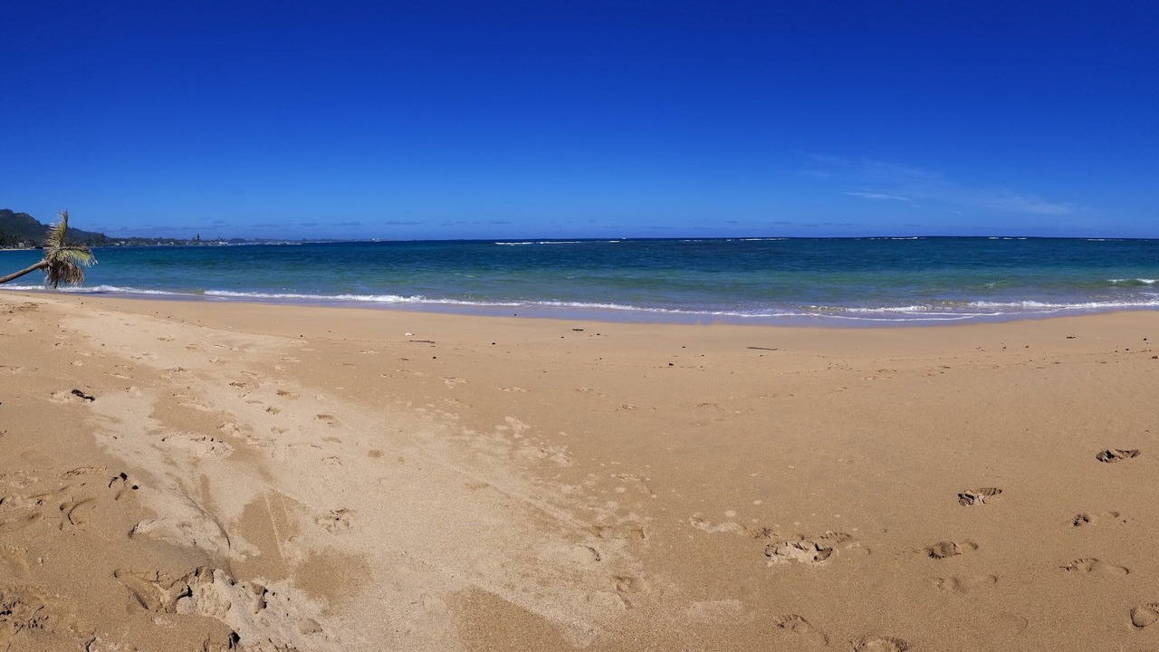 Photo of Others in Hauula
